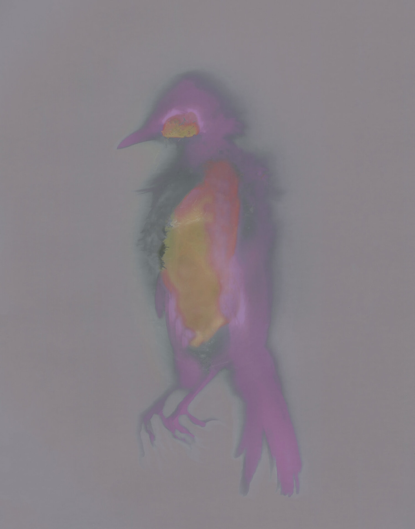 Fallen Bird 1, Virginia Carr, 2020, 7in x 5in, $300