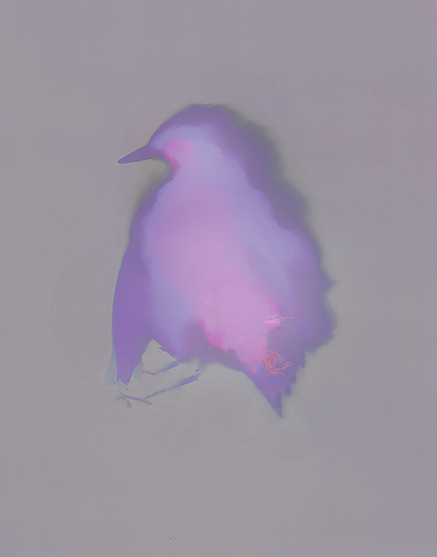 Fallen Bird 2, Virginia Carr, 2020, 7in x 5in, $300