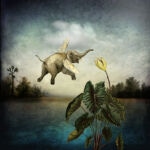 Anything but a regular bee. by Maggie Taylor