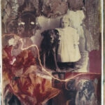 Jake and Rover by Anna Tomczak