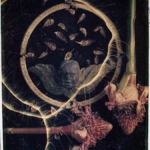 Solstices by Anna Tomczak