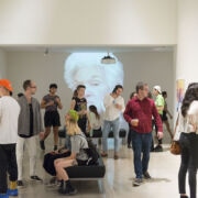 Amber Shields MPS installation